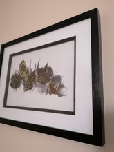 Load image into Gallery viewer, Stroke