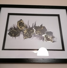 Load image into Gallery viewer, Stroke