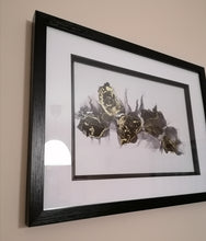 Load image into Gallery viewer, Stroke