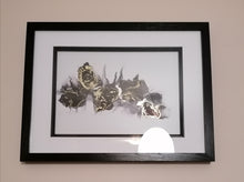 Load image into Gallery viewer, Stroke