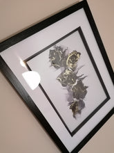 Load image into Gallery viewer, Stroke