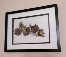 Load image into Gallery viewer, Stroke