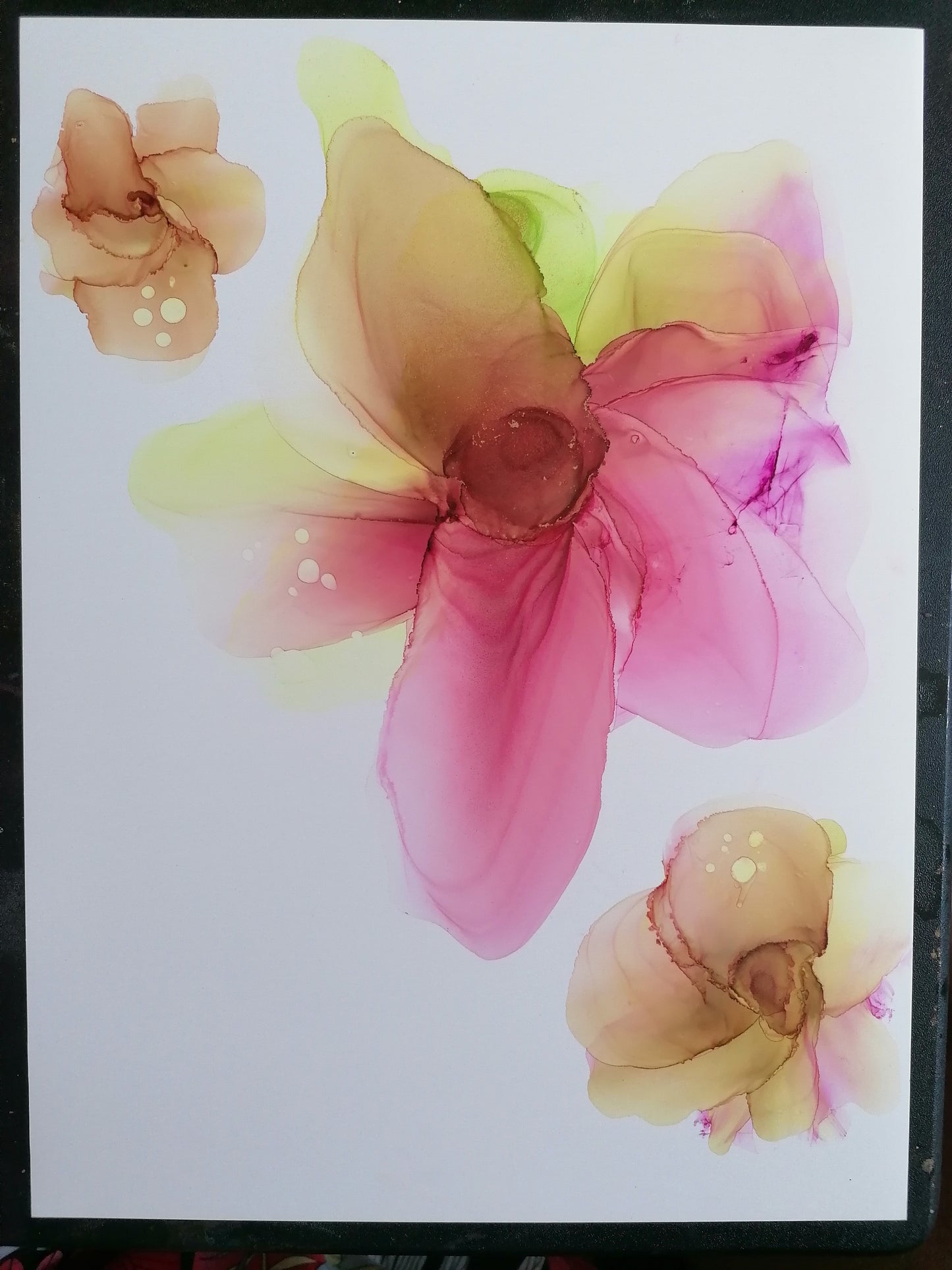 Floral Fusion