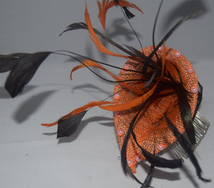 Orange Feather Comb