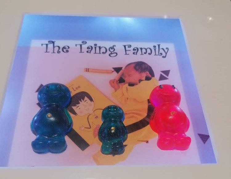 Personalised Jelly Baby Family Art with lights
